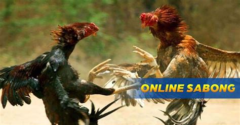 s888 login|S888 Online Sabong Live Login s888.live sign up – s888 Live .